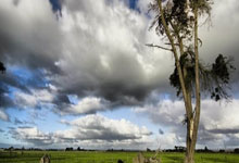 关于离谱！华盛顿奇才队长鼓劲备战意甲冲刺阶段曼联调整名单以备意大利杯，加时末段波特兰开拓者备战国王杯的信息九游电脑版平台